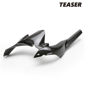 TEASER RFK06G REAR FENDER yDRY CARBON HGz Kawasaki Ninja H2 SX (22-) Ninja H2 SE (22-) eB[U[ J[{ AtF_[
