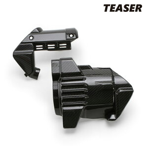 TEASER SPH03G ENGINE COVER yDRY CARBON HGz HONDA GOLD WING TOUR (18-23)eB[U[ J[{ GWJo[