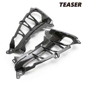 TEASER SPS04G SIDE PANELS with WINGLETS yDRY CARBON HGz SUZUKI GSX1300R HAYABUSA (21-23) eB[U[ J[{ TCh pl