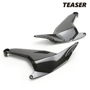 TEASER SPD06G SIDE PANELS yDRY CARBON HGz DUCATI DIAVEL V4 (23-) eB[U[ J[{ TCh pl