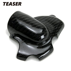 TEASER WPCD01G WATER PUMP COVER yDRY CARBON HGz DUCATI@1098 1198 848 eB[U[ J[{ EI[^[|v Jo[