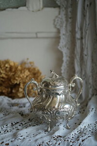 tX AeB[N JC̃VK[|bg Vo[v[g F110