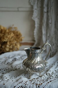 tX AeB[N JC̃N[WO Vo[v[g F111