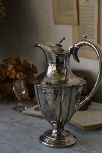 CMX̌Â Vo[v[g EH[^[WO V49