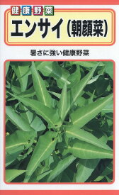 【全国送料無料】エンサイ（朝顔菜） / トーホク 野菜 ハーブ 草花 園芸 栽培 肥料 家庭菜園 球根 苗 種まき 種子 たね タネ 植物 ガーデニング 培養土 ポット 松永種苗 フタバ種苗 サカタのタネ タキイ種苗 ★在庫がある商品のみ12時（土日祝を除く）までのご注文で当日出荷