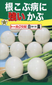 ySzԕaɋԔI / g[zN  n[u  | ͔| 엿 ƒ؉  c ܂ q  ^l A K[fjO |{y ic t^oc TJ^̃^l