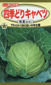 【全国送料無料】四季どりキャベツ　味星（あじほし）　/ トーホク 野菜 ハーブ 草花 園芸 栽培 肥料 家庭菜園 球根 苗 種まき 種子 たね タネ 植物 ガーデニング 培養土 ポット じょうろ 土壌改良 腐葉土★在庫がある商品のみ12時（土日祝を除く）までのご注文で当日出荷