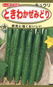 ySzƂ킩݂ǂ@イ/ g[zN  n[u  | ͔| 엿 ƒ؉  c ܂ q  ^l A K[fjO |{y |bg 傤 AQ΍ 
