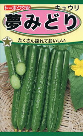 【全国送料無料】夢みどり　きゅうり/ トーホク 野菜 ハーブ 草花 園芸 栽培 肥料 家庭菜園 球根 苗 種まき 種子 たね タネ 植物 ガーデニング 培養土 ポット じょうろ 連作障害対策 土壌改良 腐葉土 ★在庫がある商品のみ12時（土日祝を除く）までのご注文で当日出荷