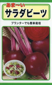 【全国送料無料】あま～い　サラダビーツ　/ トーホク 野菜 ハーブ 草花 園芸 栽培 肥料 家庭菜園 球根 苗 種まき 種子 たね タネ 植物 ガーデニング じょうろ 松永種苗 フタバ種苗 サカタのタネ タキイ★在庫がある商品のみ12時（土日祝を除く）までのご注文で当日出荷