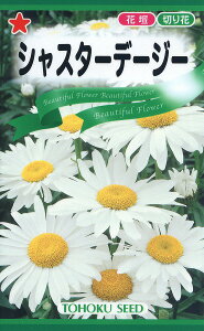ySz VX^[f[W[/ g[zN  n[u  | ͔| 엿 ƒ؉  c ܂ q  ^l A K[fjO |{y 傤 ic t^oc TJ^