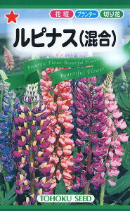 ySz siXij/ g[zN  n[u  | ͔| 엿 ƒ؉  q  ^l A K[fjO |bg 傤 ic t^oc TJ^̃^l ^LC