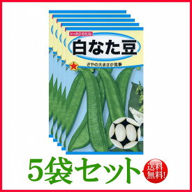 【5袋割引セット♪】【全国送料無料】白なた豆/ トーホク 野菜 ハーブ 草花 園芸 栽培 肥料 家庭菜園 球根 苗 種子 たね ガーデニング 培養土 ポット じょうろ 松永種苗 フタバ種苗 サカタのタネ タキイ★在庫がある商品のみ12時（土日祝を除く）までのご注文で当日出荷