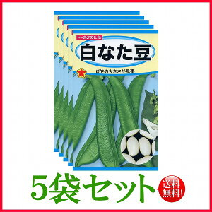 y5܊ZbgzySzȂ/ g[zN  n[u  | ͔| 엿 ƒ؉  c q  K[fjO |{y |bg 傤 ic t^oc TJ^