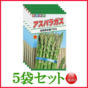 y5܊ZbgzySzAXpKX / g[zN  n[u  | ͔| 엿 ƒ؉  c ܂ q  ^l A K[fjO |{y |bg 傤 A