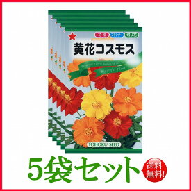 【5袋割引セット♪】【全国送料無料】 黄花コスモス / トーホク 野菜 ハーブ 草花 園芸 栽培 肥料 家庭菜園 球根 苗 種まき 種子 たね タネ 植物 ガーデニング 松永種苗 フタバ種苗 サカタのタネ タキイ種苗 ★在庫がある商品のみ12時（土日祝を除く）までのご注文で当日出荷