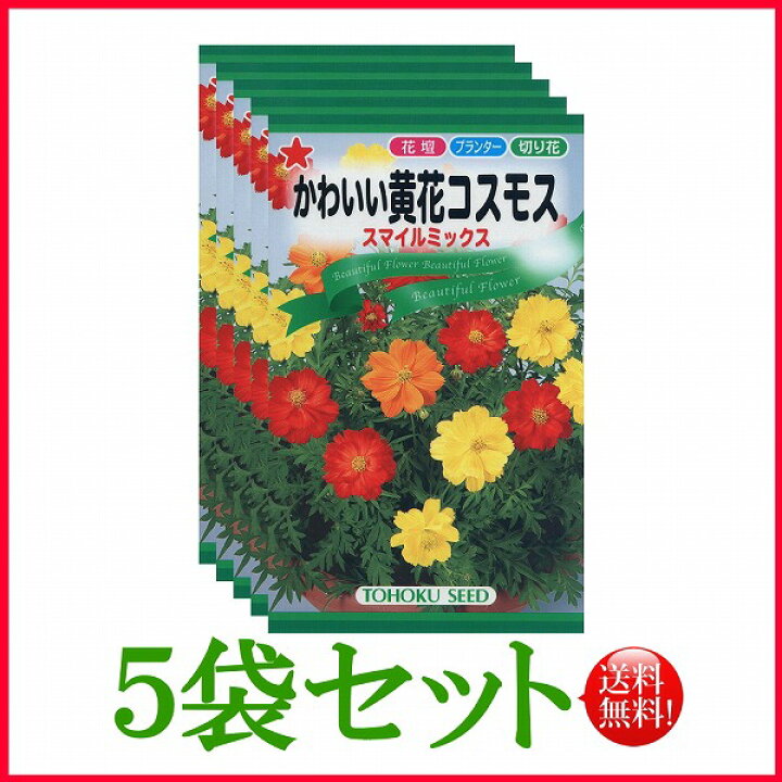 黄花コスモス トーホク 栽培 松永種苗 タネ 草花 野菜 植物 肥料 園芸 ガーデニング 家庭菜園 ハーブ 種子 苗 たね 種まき 球根