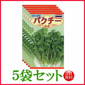 【5袋割引セット♪】【全国送料無料】パクチー　/ トーホク 野菜 ハーブ 草花 園芸 栽培 肥料 家庭菜園 球根 苗 種まき 種子 たね タネ 植物 ガーデニング じょうろ フタバ種苗 サカタのタネ タキイ種苗 ★在庫がある商品のみ12時（土日祝を除く）までのご注文で当日出荷