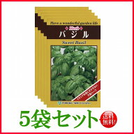 【5袋割引セット♪】【全国送料無料】バジル(スイートバジル）　/ トーホク 野菜 ハーブ 草花 園芸 栽培 …