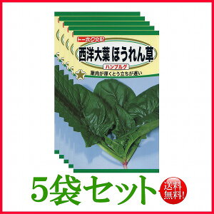 y5܊ZbgzySzmtق񑐁@nuO/ g[zN  n[u  | ͔| 엿 ƒ؉  c ܂ q  K[fjO |bg t^o TJ^