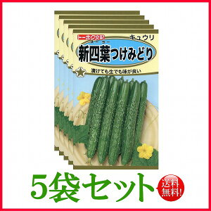 y5܊ZbgzySzVlt݂ǂ@イ/ g[zN  n[u  | ͔| 엿 ƒ؉  c ܂ q  ^l A K[fjO |{y |bg 