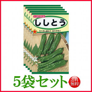 y5܊ZbgzySzƂ/ g[zN  n[u  | ͔| 엿 ƒ؉  c ܂ q  ^l K[fjO |{y |bg 傤 t^oc TJ^