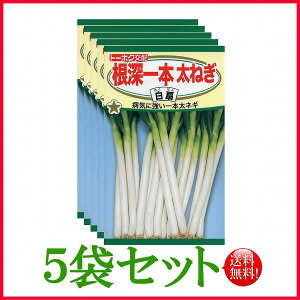 y5܊ZbgzySz[{˂ i͂j@/ g[zN  n[u  | ͔| 엿 ƒ؉  c ܂ q  K[fjO t^oc TJ^