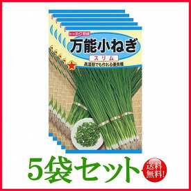 【5袋割引セット♪】【全国送料無料】万能小ねぎ　スリム　/ トーホク 野菜 ハーブ 草花 園芸 栽培 肥料 家庭菜園 球根 苗 種まき 種子 たね ガーデニング じょうろ 松永種苗 フタバ種苗 サカタのタネ タキイ★在庫がある商品のみ12時（土日祝を除く）までのご注文で当日出荷