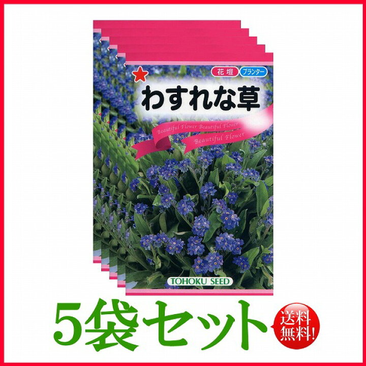 楽天市場 5袋割引セット 全国送料無料 わすれな草 トーホク 野菜 ハーブ 草花 園芸 栽培 肥料 家庭菜園 球根 尾崎豊 種子 たね タネ 植物 ガーデニング ポット じょうろ 松永 フタバ サカタのタネ タキイ 在庫がある商品のみ12時 土日祝を除く までのご注文