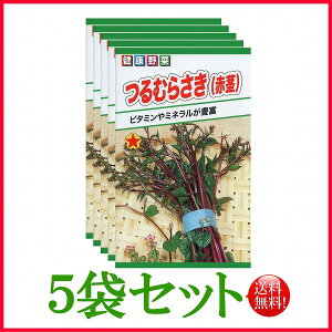 y5܊ZbgzySzނ炳iԌsj / g[zN  n[u  | ͔| 엿 ƒ؉  c ܂ q  A K[fjO ic t^oc TJ^