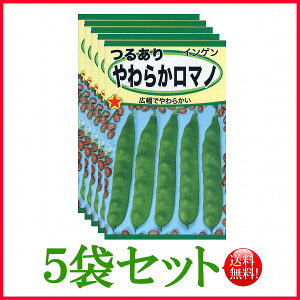 y5܊ZbgzySz邠炩}m@/ g[zN  n[u  | ͔| 엿 ƒ؉  c ܂ q  ^l A K[fjO |{y |bg 