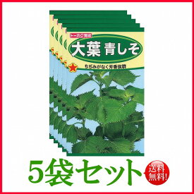 【5袋割引セット♪】【全国送料無料】大葉青しそ/ トーホク 野菜 ハーブ 草花 園芸 栽培 肥料 家庭菜園 球根 苗 種まき 種子 たね タネ 植物 ガーデニング 松永種苗 フタバ種苗 サカタのタネ タキイ種苗 ★在庫がある商品のみ12時（土日祝を除く）までのご注文で当日出荷