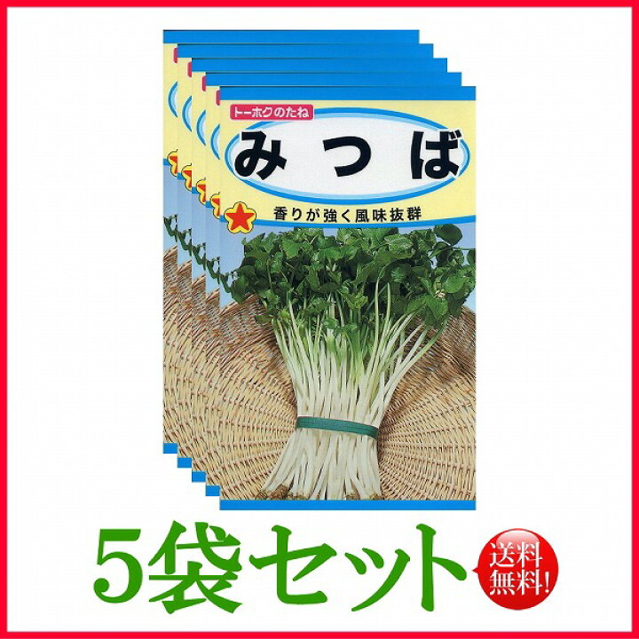 全国送料無料 かいわれ大根 トーホク ガーデニング 栽培 野菜 肥料 松永種苗 園芸 苗 タネ 草花 種まき 植物 種子 フタバ種苗 たね ハーブ 家庭菜園 球根