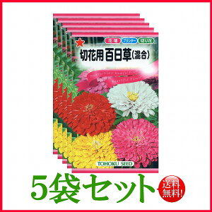 夏 切花 種の人気商品 通販 価格比較 価格 Com