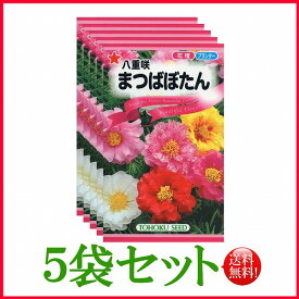 【5袋割引セット♪】【全国送料無料】 八重咲まつばぼたん/ トーホク 野菜 ハーブ 草花 園芸 栽培 肥料 家庭菜園 球根 苗 種子 たね ガーデニング 培養土 じょうろ 松永種苗 フタバ種苗 サカタのタネ タキイ★在庫がある商品のみ12時（土日祝を除く）までのご注文で当日出荷