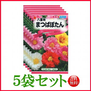 y5܊ZbgzySz d܂΂ڂ/ g[zN  n[u  | ͔| 엿 ƒ؉  c q  K[fjO |{y 傤 ic t^oc TJ