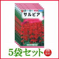 【5袋割引セット♪】【全国送料無料】 サルビア/ トーホク 野菜 ハーブ 草花 園芸 栽培 肥料 家庭菜園 球…