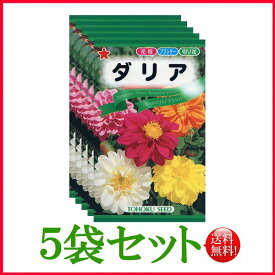 【5袋割引セット♪】【全国送料無料】 ダリア/ トーホク 野菜 ハーブ 草花 園芸 栽培 肥料 家庭菜園 球根 苗 種まき 種子 たね タネ 植物 ガーデニング ポット じょうろ 松永種苗 フタバ サカタのタネ タキイ★在庫がある商品のみ12時（土日祝を除く）までのご注文で当日出荷