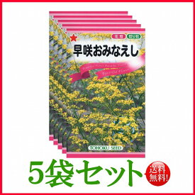 【5袋割引セット♪】【全国送料無料】 早咲おみなえし/ トーホク 野菜 ハーブ 草花 園芸 栽培 肥料 家庭菜園 種まき たね タネ 植物 ガーデニング ポット じょうろ 松永種苗 フタバ種苗 サカタのタネ タキイ★在庫がある商品のみ12時（土日祝を除く）までのご注文で当日出荷