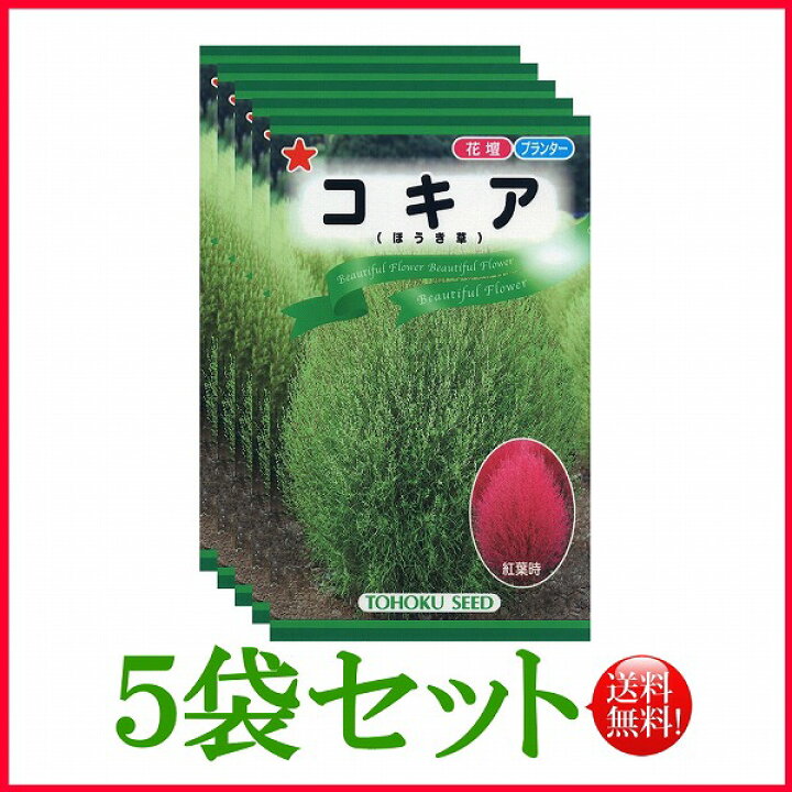 楽天市場 5袋割引セット 全国送料無料 コキア ほうき草 トーホク 野菜 ハーブ 草花 園芸 栽培 肥料 家庭菜園 球根 苗 種まき 種子 たね タネ ガーデニング ポット フタバ種苗 サカタのタネ タキイ種苗 在庫がある商品のみ12時 土日祝を除く までのご