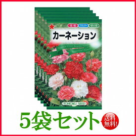 【5袋割引セット♪】【全国送料無料】 カーネーション/ トーホク 野菜 ハーブ 草花 園芸 栽培 肥料 家庭菜園 球根 苗 種まき 種子 たね タネ ガーデニング じょうろ 松永種苗 フタバ種苗 サカタのタネ タキイ★在庫がある商品のみ12時（土日祝を除く）までのご注文で当日出荷