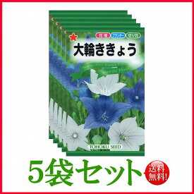 【5袋割引セット♪】【全国送料無料】 大輪ききょう/ トーホク 野菜 ハーブ 草花 園芸 栽培 肥料 家庭菜園 球根 苗 種子 たね タネ 植物 ガーデニング ポット じょうろ 松永種苗 フタバ サカタのタネ タキイ ★在庫がある商品のみ12時（土日祝を除く）までのご注文で当日出荷