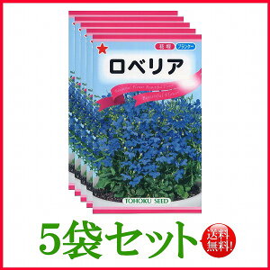 苗 ロベリア Diy 工具の人気商品 通販 価格比較 価格 Com