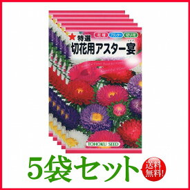 【5袋割引セット♪】【全国送料無料】 特選切花用アスター宴 （うたげ）/ トーホク 野菜 ハーブ 草花 園芸 栽培 肥料 家庭菜園 種まき タネ ガーデニング ポット じょうろ 松永 フタバ サカタのタネ タキイ ★在庫がある商品のみ12時（土日祝を除く）までのご注文で当日出荷