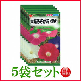 【5袋割引セット♪】【全国送料無料】 大輪あさがお（混合）/ トーホク 野菜 ハーブ 草花 園芸 栽培 肥料 家庭菜園 苗 種まき 種子 たね ガーデニング ポット じょうろ 松永種苗 フタバ サカタのタネ タキイ★在庫がある商品のみ12時（土日祝を除く）までのご注文で当日出荷