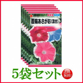 【5袋割引セット♪】【全国送料無料】 覆輪あさがお（混合）/ トーホク 野菜 ハーブ 草花 園芸 栽培 肥料 家庭菜園 球根 苗 種まき 種子 タネ 植物 ガーデニング ポット 松永種苗 フタバ サカタのタネ タキイ★在庫がある商品のみ12時（土日祝を除く）までのご注文で当日出荷