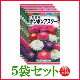 【5袋割引セット♪】【全国送料無料】 切花用 ポンポンアスター/ トーホク 野菜 ハーブ 草花 園芸 栽培 肥料 家庭菜園 球根 苗 種まき 種子 たね ガーデニング じょうろ 松永フタバ種苗 サカタのタネ タキイ★在庫がある商品のみ12時（土日祝を除く）までのご注文で当日出荷