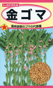 ySzS}/ g[zN  n[u  | ͔| 엿 ƒ؉  c ܂ q  ^l A K[fjO |bg ic t^oc TJ^̃^l ^LCc A