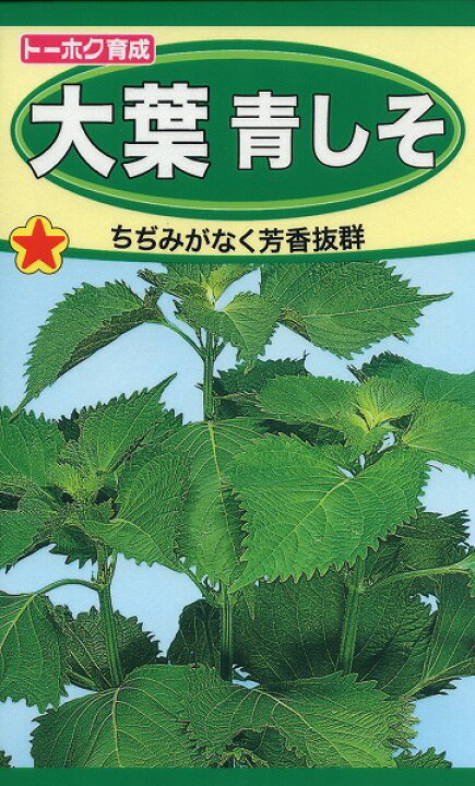 野菜 無農薬大葉の苗、青じそ 5株 最大64%オフ! | clinicaconde.com.br