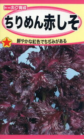 【全国送料無料】ちりめん赤しそ/ トーホク 野菜 ハーブ 草花 園芸 栽培 肥料 家庭菜園 球根 苗 種まき 種子 たね タネ 植物 ガーデニング じょうろ 松永種苗 フタバ種苗 大葉青しそ タキイ種苗 腐葉土★在庫がある商品のみ12時（土日祝を除く）までのご注文で当日出荷